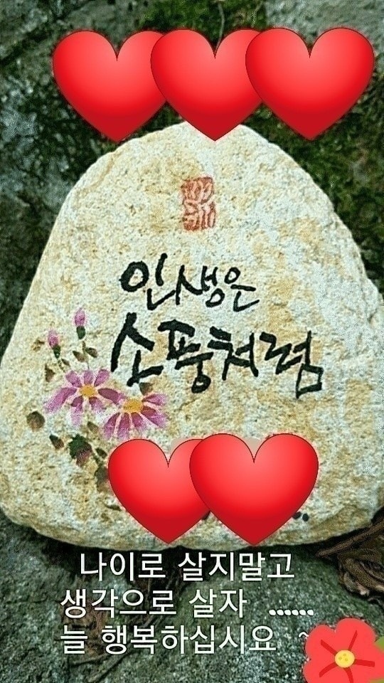 해우스 이미지