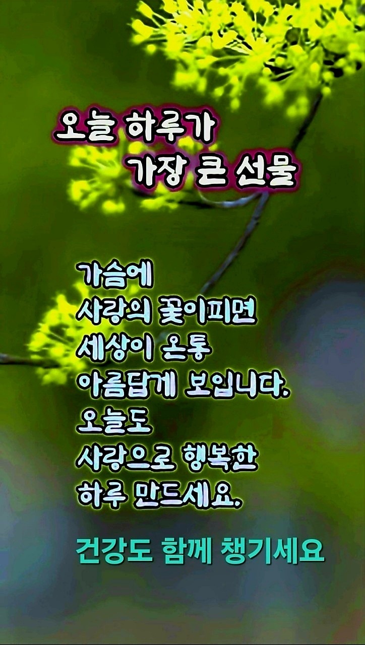 행복한 하루 이미지