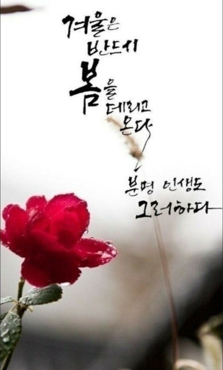 행복한하루 이미지