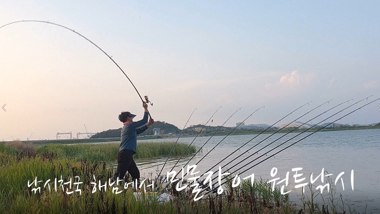 황금민물장어 이미지