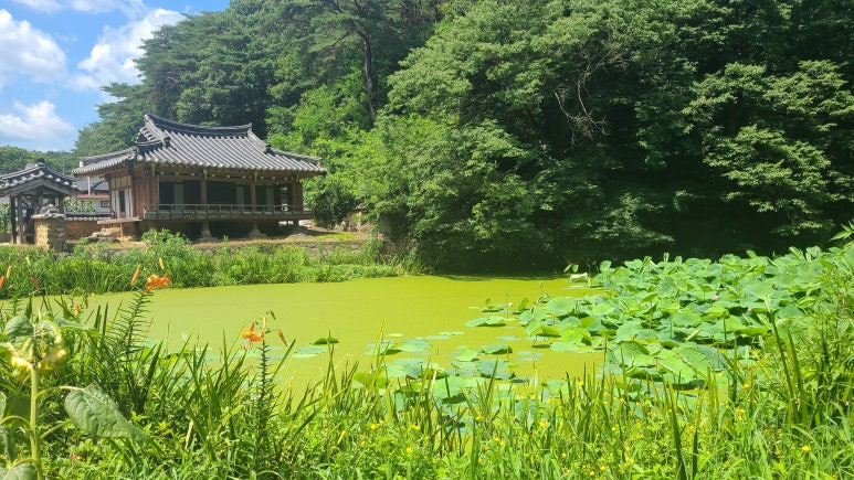 애일당 이미지