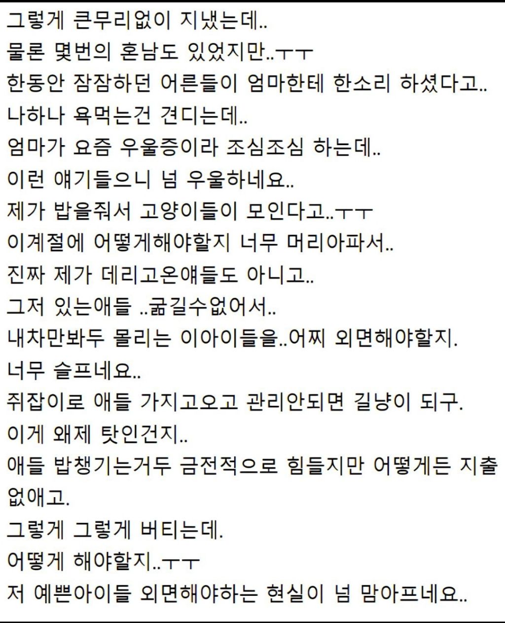 경로당에서 고양이 밥 주다가 욕먹었다던 글의 진실 (반전주의) | 인스티즈