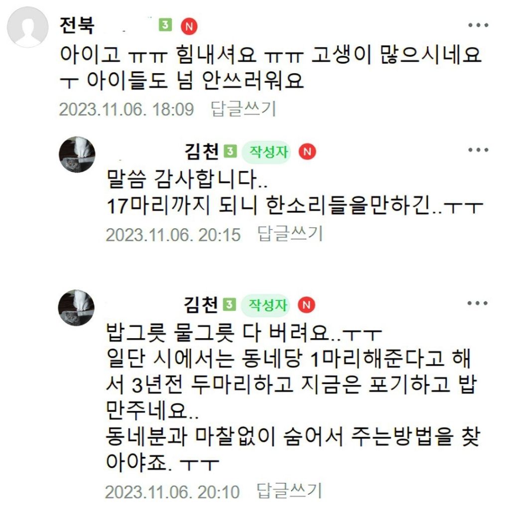 경로당에서 고양이 밥 주다가 욕먹었다던 글의 진실 (반전주의) | 인스티즈