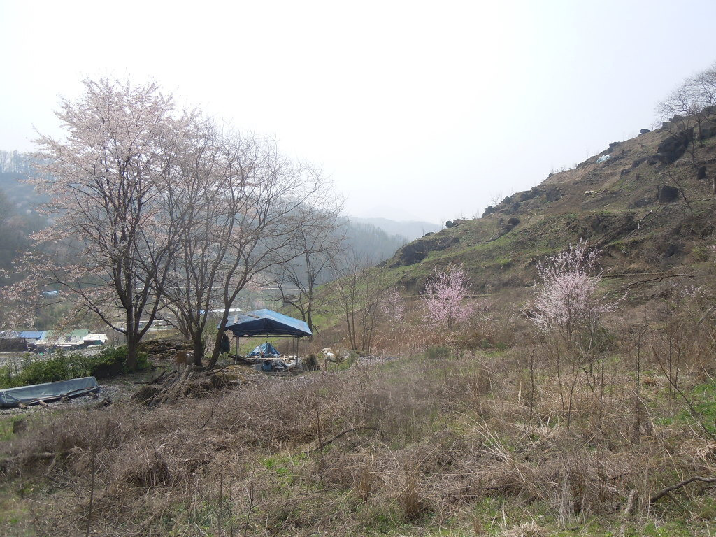 김영수 이미지