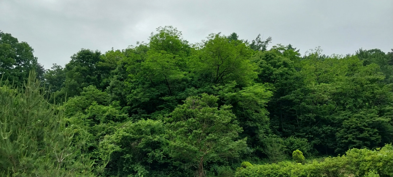 김영수 이미지
