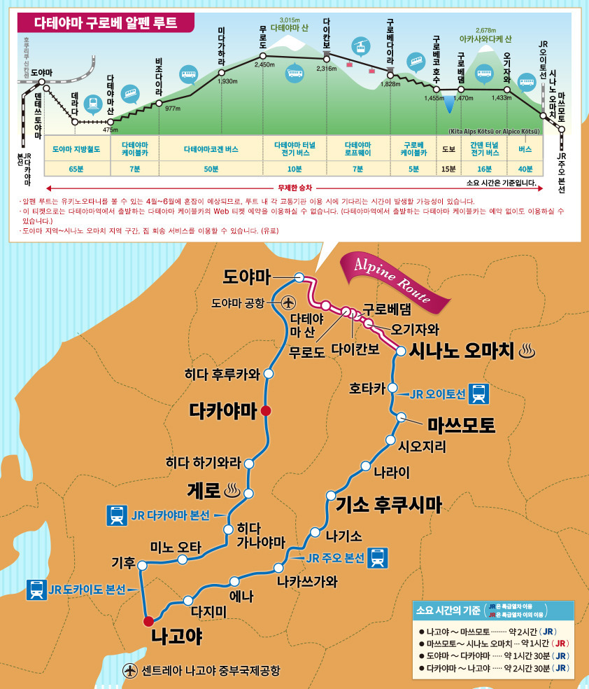 루트 이미지