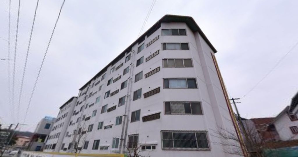 세현 이미지