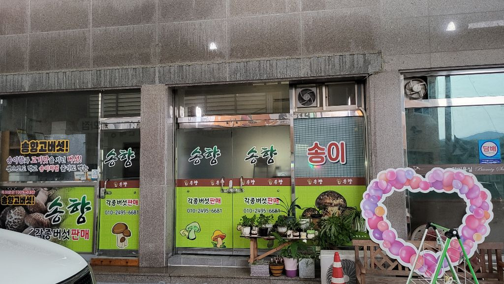 춘양목호스텔 이미지