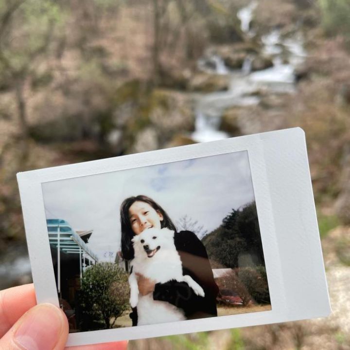 감성스타 이미지