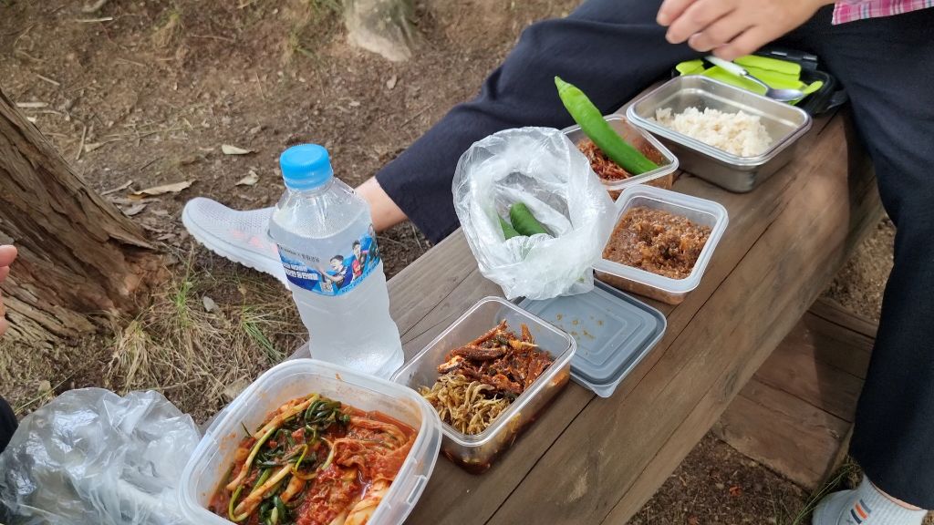 팬타곤숲이야기 이미지