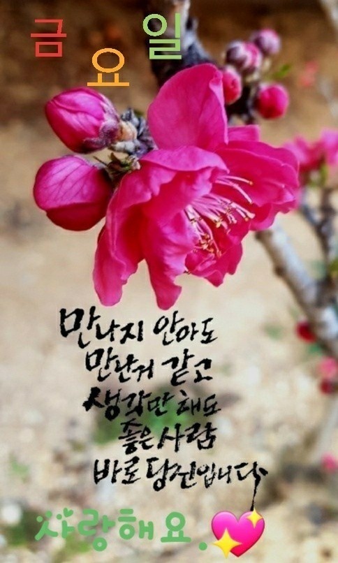 행복한부자 이미지