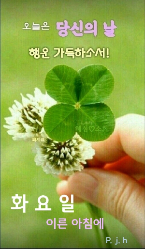 기쁨의시작 이미지