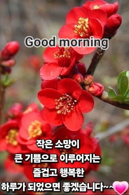 화요일 이미지