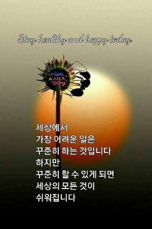 기쁨의시작 이미지