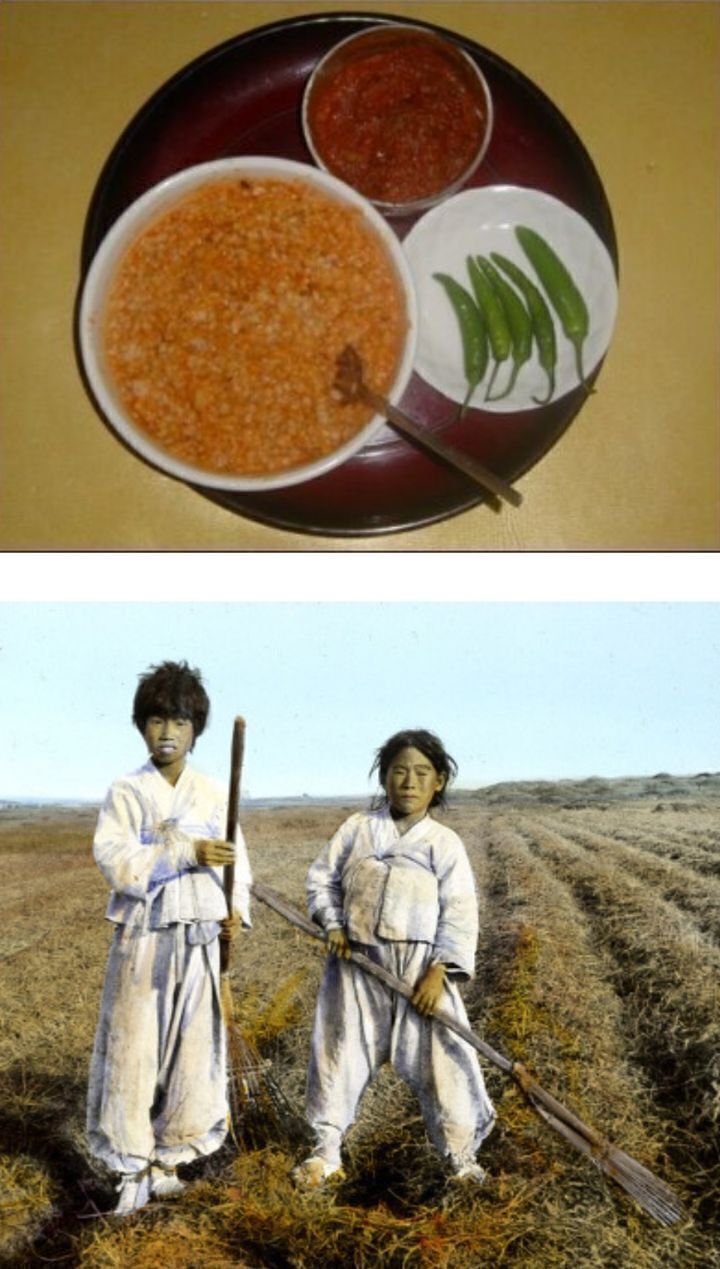 보리밥이야기 이미지