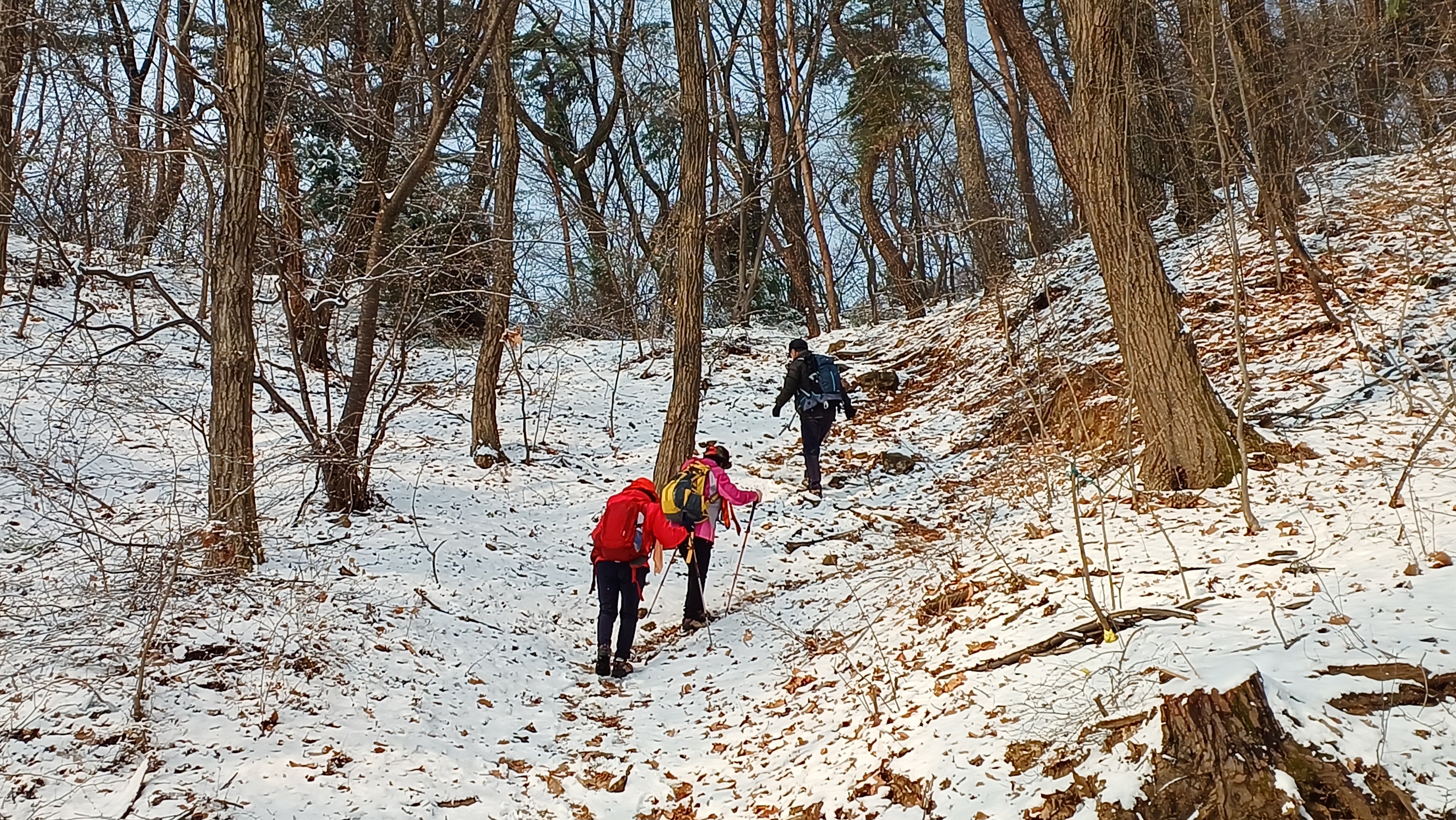 청계산 이미지