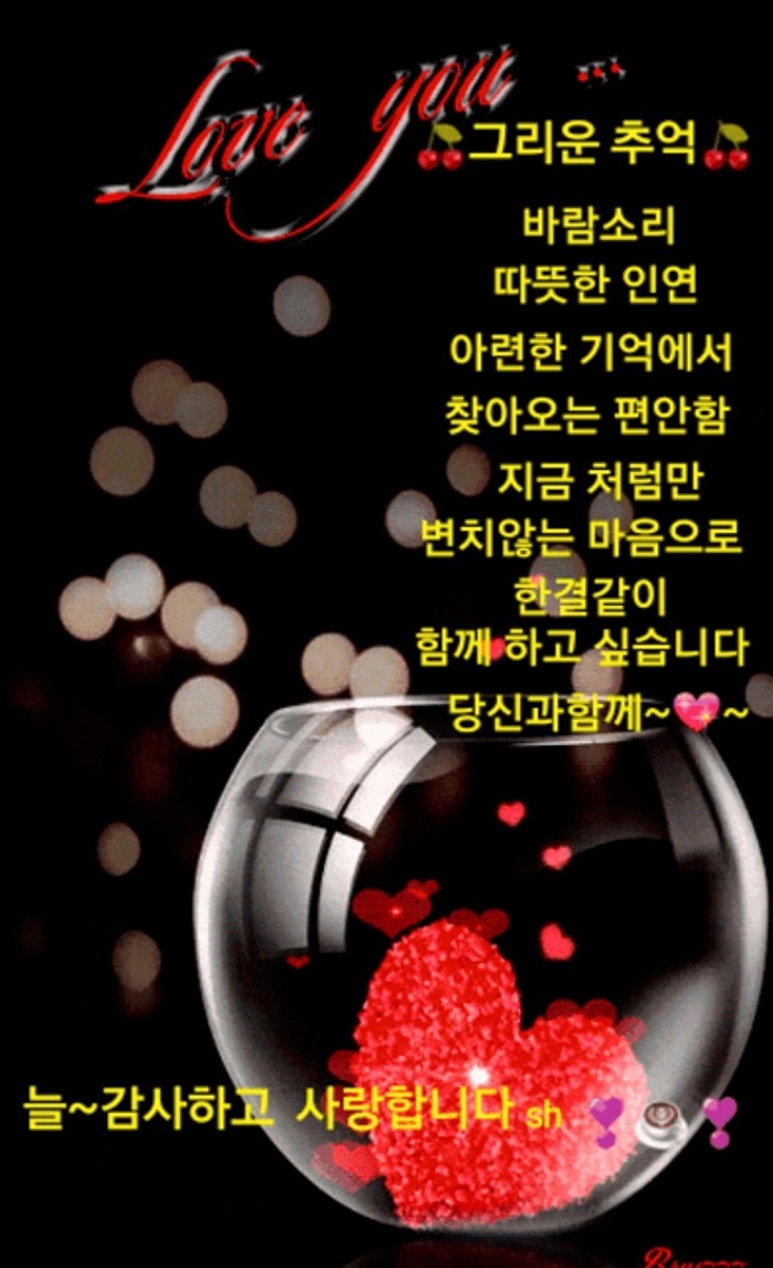 늘처음처럼 이미지
