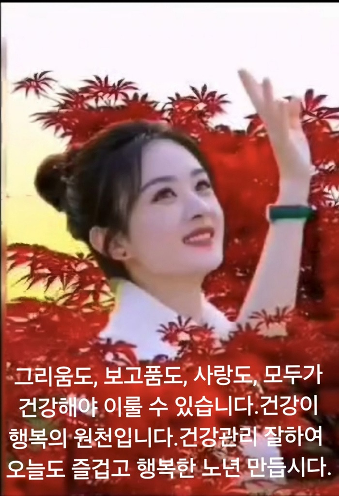 아량 이미지