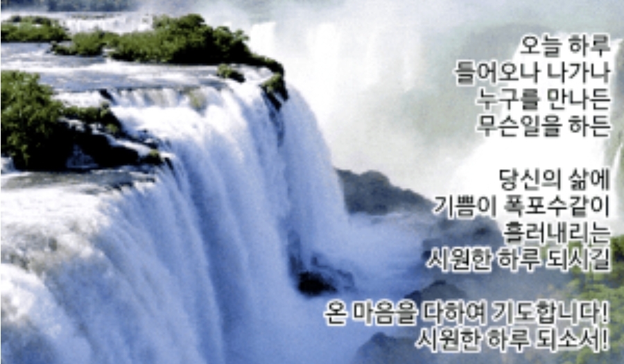 (주)초록들 이미지