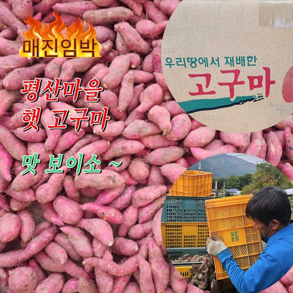 고구마책방 이미지