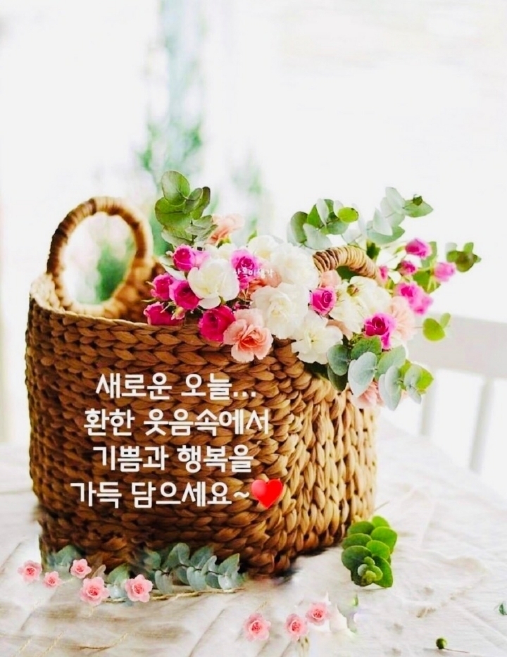 따뜻한선물 이미지