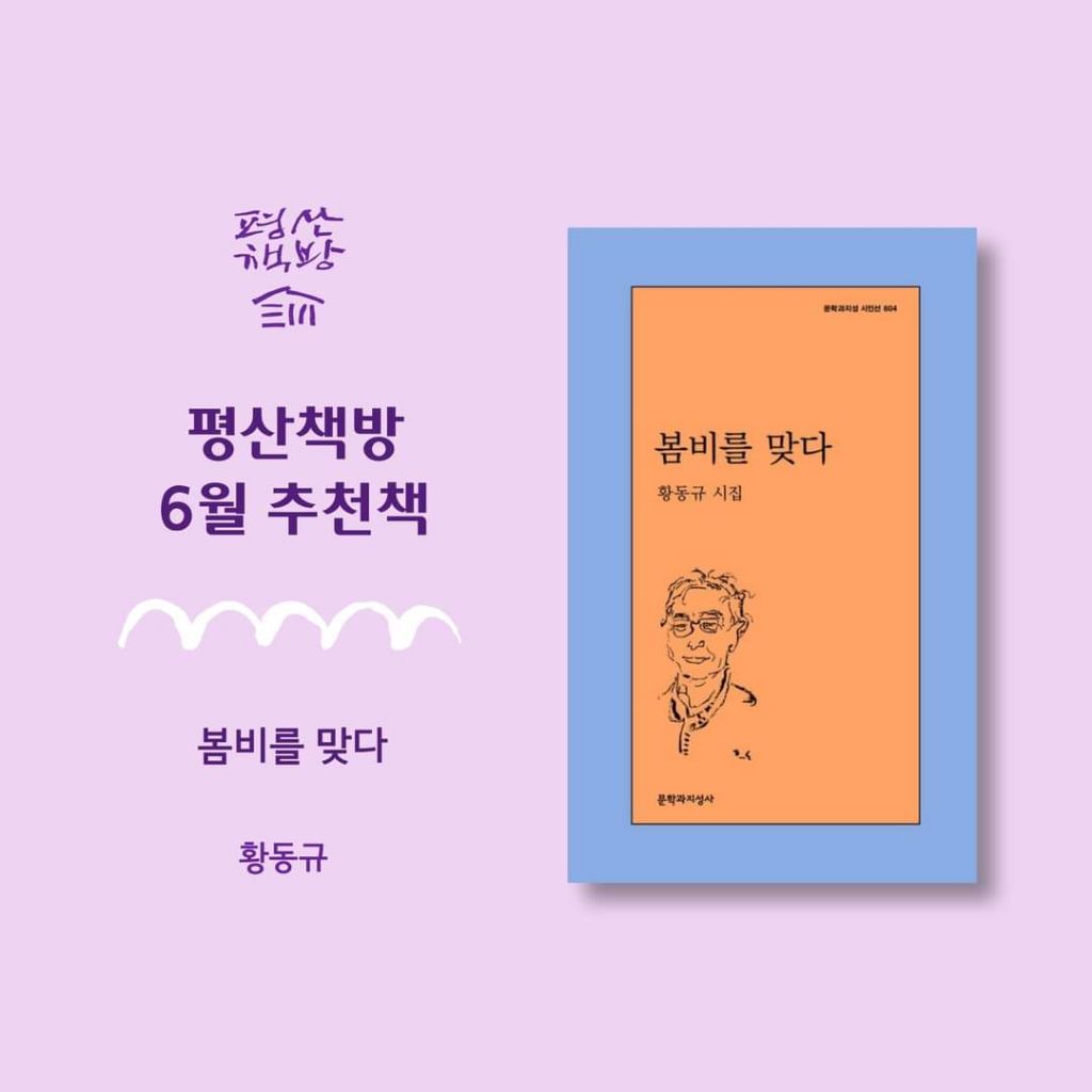 책방초록고양이 이미지