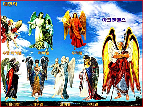 ANAEL(아나엘) 이미지