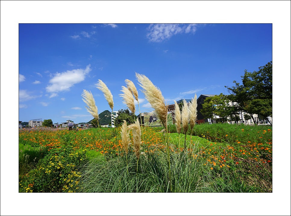 송현공원 이미지