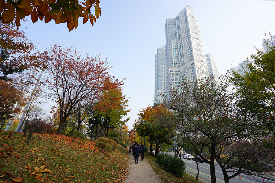 바위솔타운 이미지