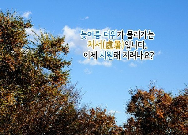 처서 이미지