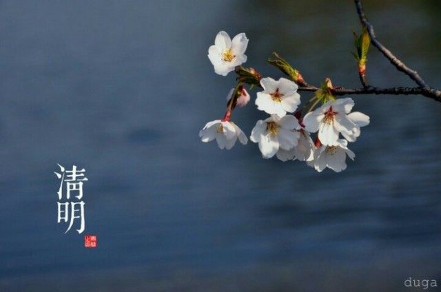 청명 이미지