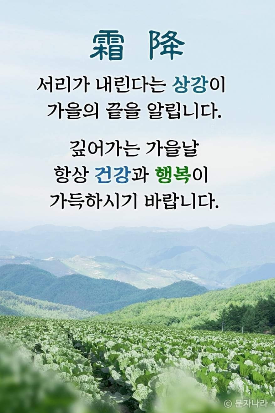 오늘은 이미지