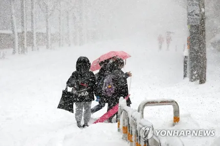 폭설에 등교하는 아이들 | 인스티즈