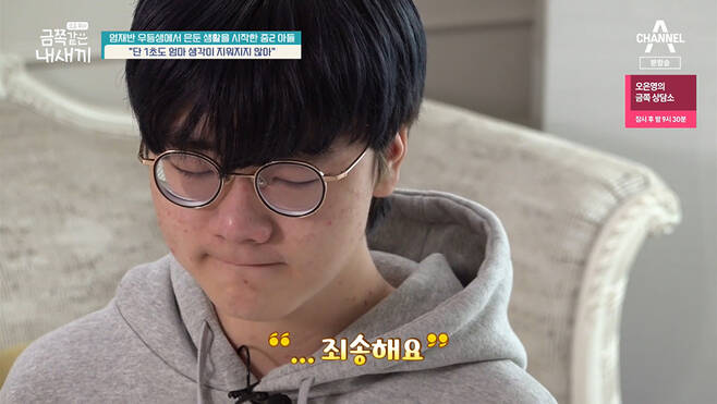 금쪽이) 음주운전은 절대하면 안되는 이유 | 인스티즈