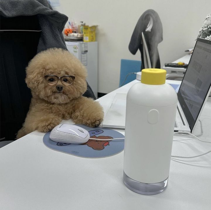 부장님이 왜 지각했냐 여쭈시는데... | 인스티즈