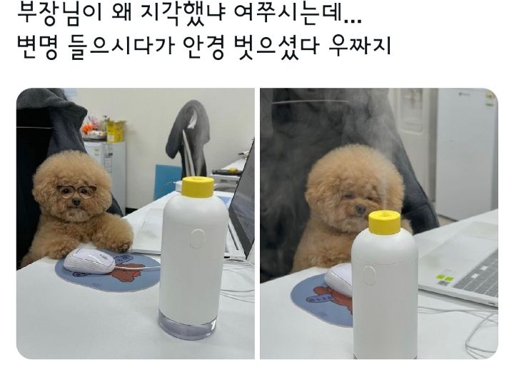 부장님이 왜 지각했냐 여쭈시는데... | 인스티즈