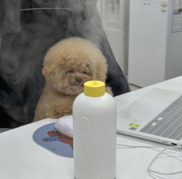 부장님이 왜 지각했냐 여쭈시는데... | 인스티즈