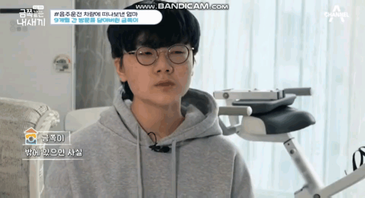 금쪽이) 음주운전은 절대하면 안되는 이유 | 인스티즈