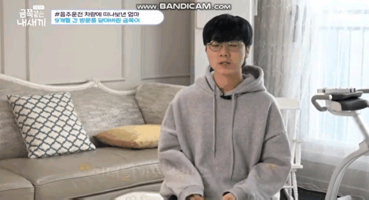 금쪽이) 음주운전은 절대하면 안되는 이유 | 인스티즈