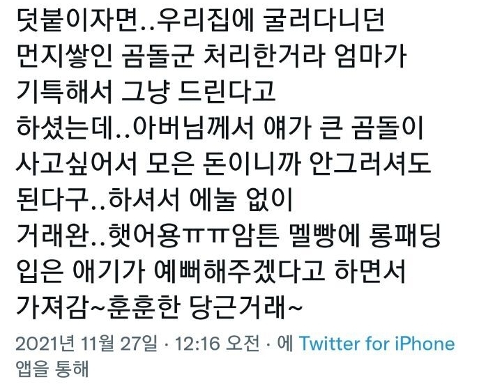 당근마켓에 팔려가는 곰돌이 | 인스티즈