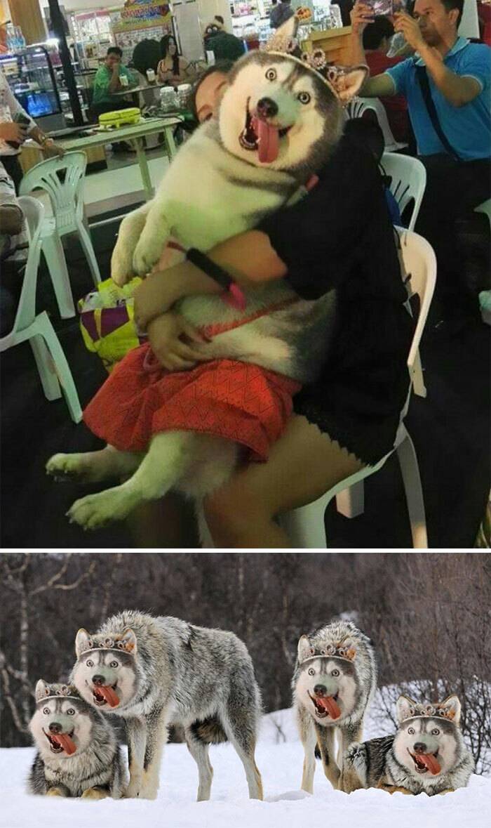 포토그래픽 이미지