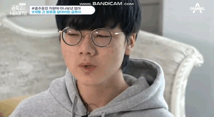 금쪽이) 음주운전은 절대하면 안되는 이유 | 인스티즈