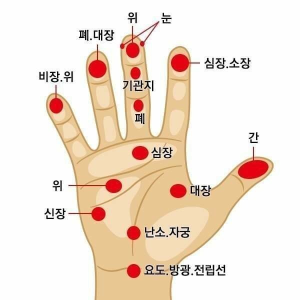 신비코 이미지
