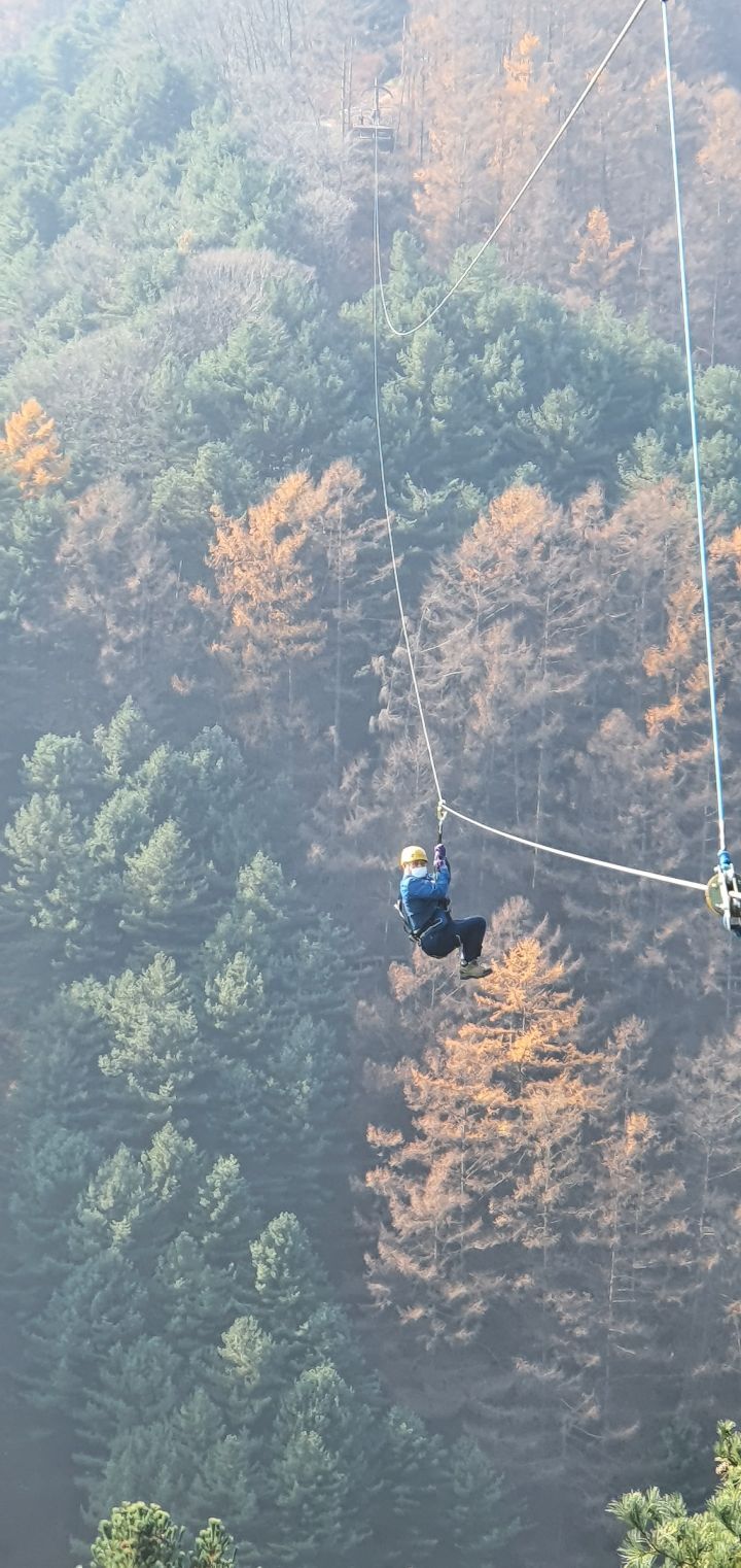 가평브릿지짚라인 이미지