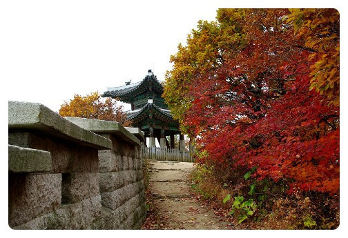 부자집 이미지
