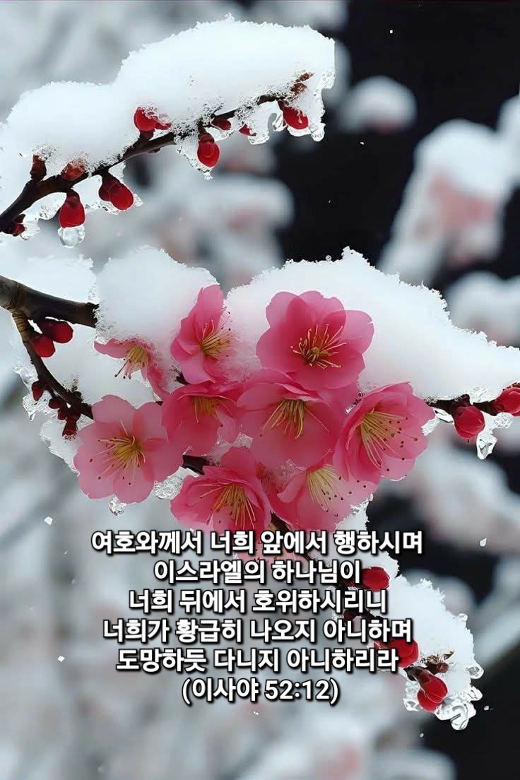 임마누엘 이미지