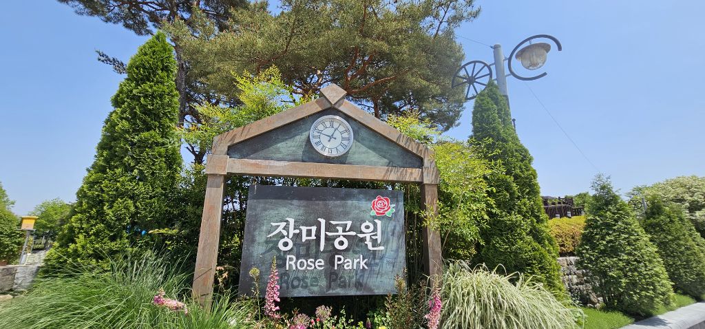 곡성 장미 🌹 축제 소풍 탐방기 - 우리들의 이야기 - 대한민국둘레길걷기 곡성 장미 🌹 축제 소풍 탐방기
