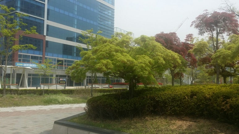 풀잎 이미지