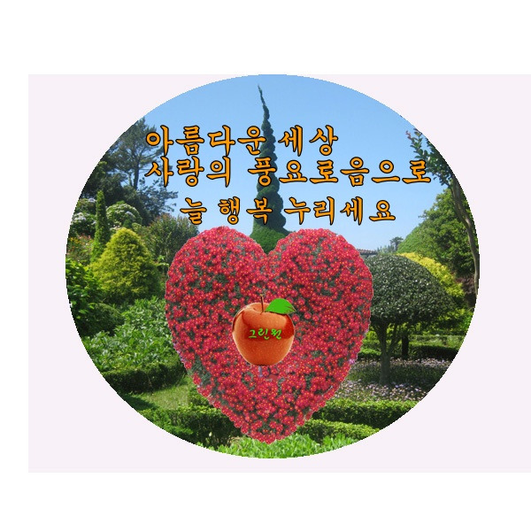 사촌 이미지