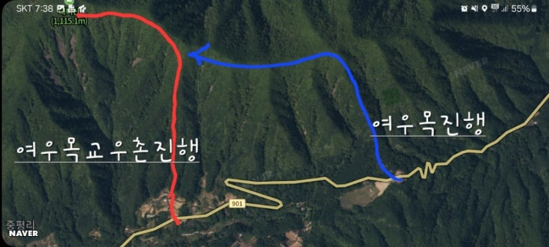 빨강여우 이미지